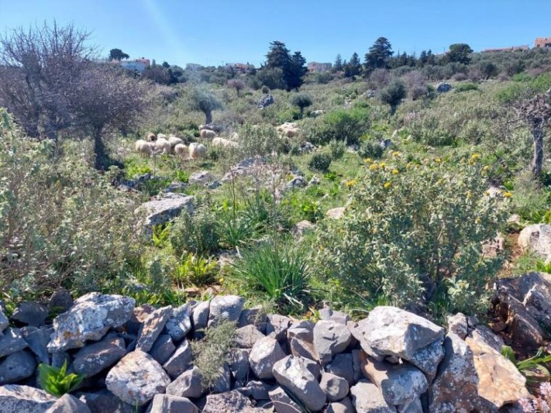 Kefalas Kreta, Kefalas Chania: Atemberaubendes Grundstück mit Meerblick zum Verkauf Grundstück kaufen